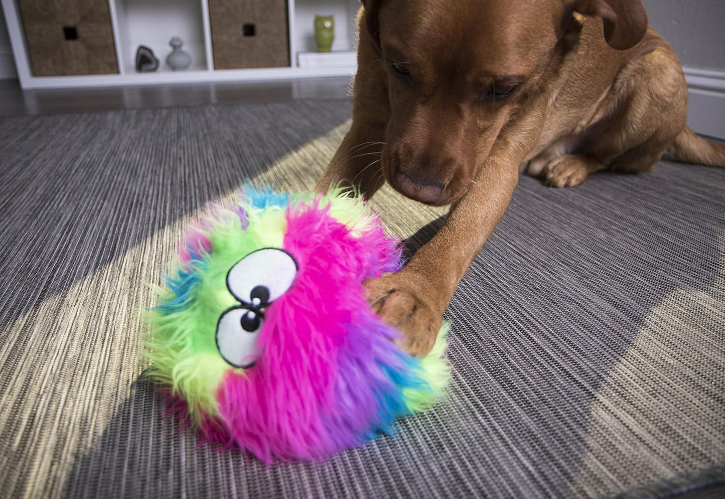 GoDog Furballz rainbow large squeaky ball in lifestyle setting