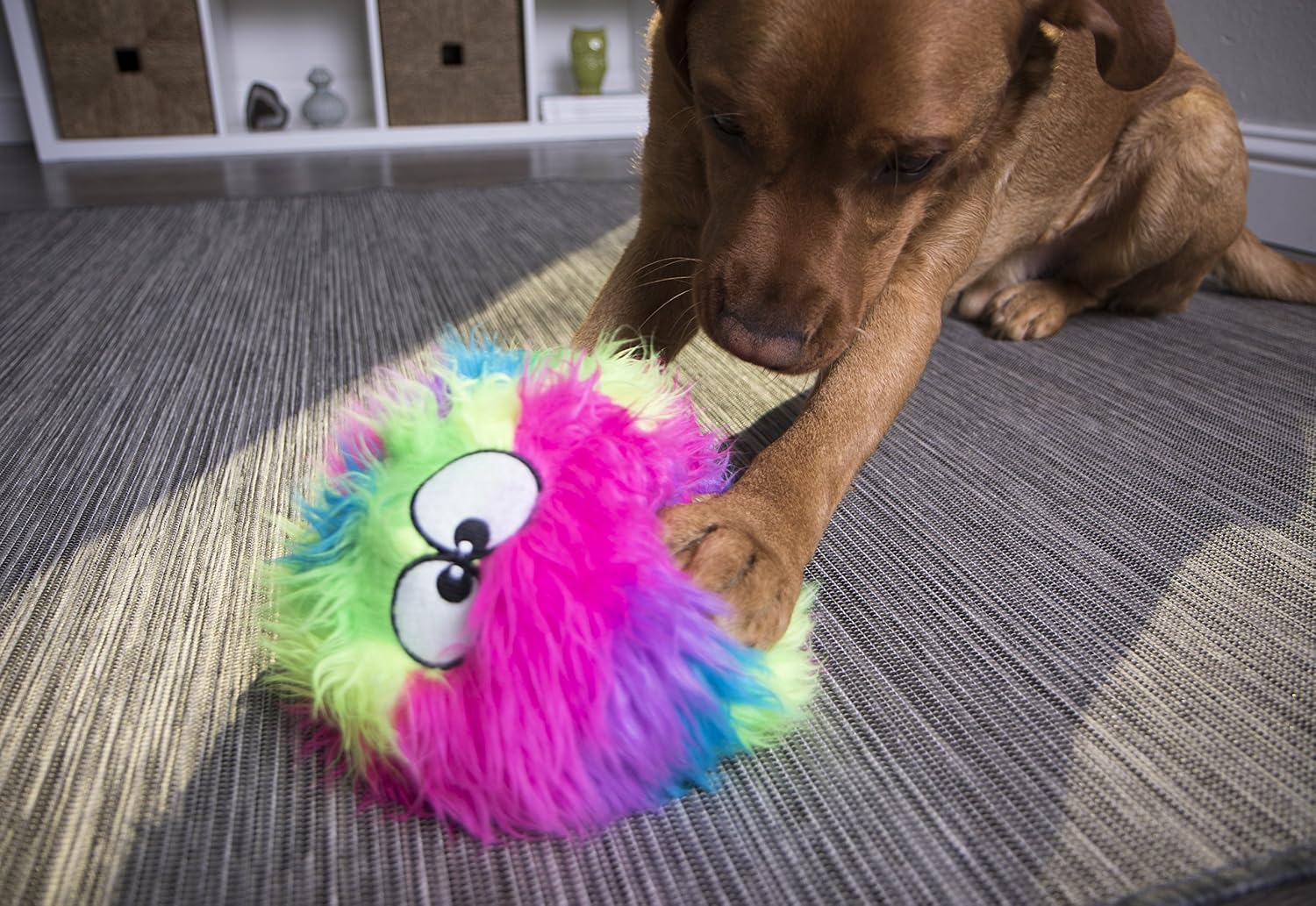 GoDog Furballz rainbow large squeaky ball in lifestyle setting