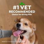 Close up of small tablet size chicken flavor dog treats