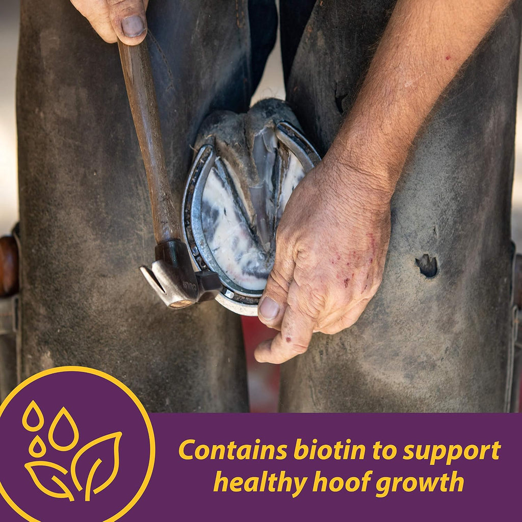 Horse Health equine biotin crumbles daily supplement feeding directions label