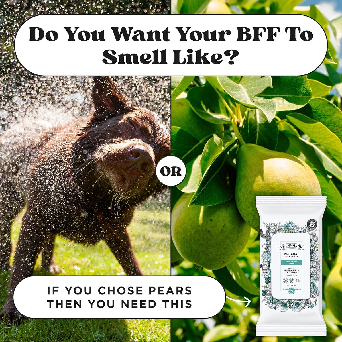 Poo-Pourri Pawsitively Fresh Deodorizing Pet Wipes - Quick Cleaning Wipes for Dogs & Cats - Plant Based Ingredients - Vet Recommended - Cleaner Odor Remover Wipes for Paw, Fur & Skin Soothing - Image 9