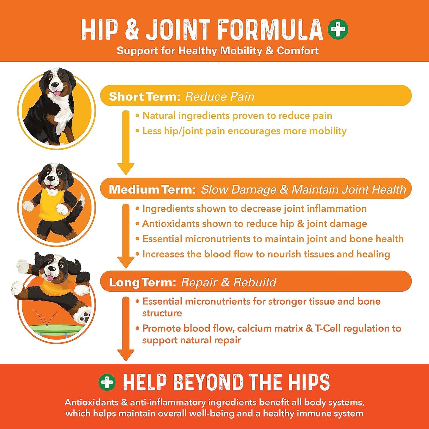 Bernie's Healthy Hips pork flavored joint health supplement jar side label