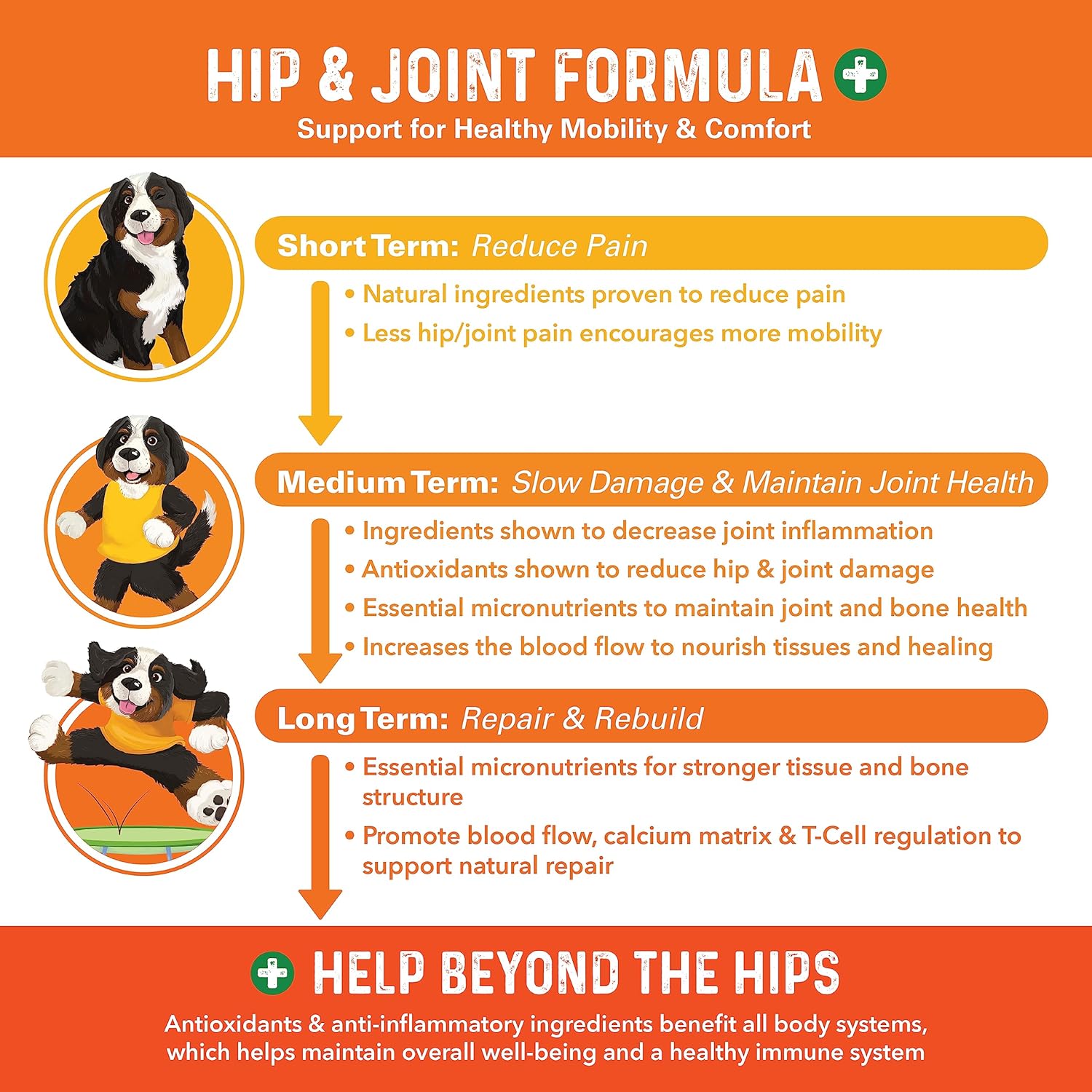 Bernie's Healthy Hips pork flavored joint health supplement jar side label