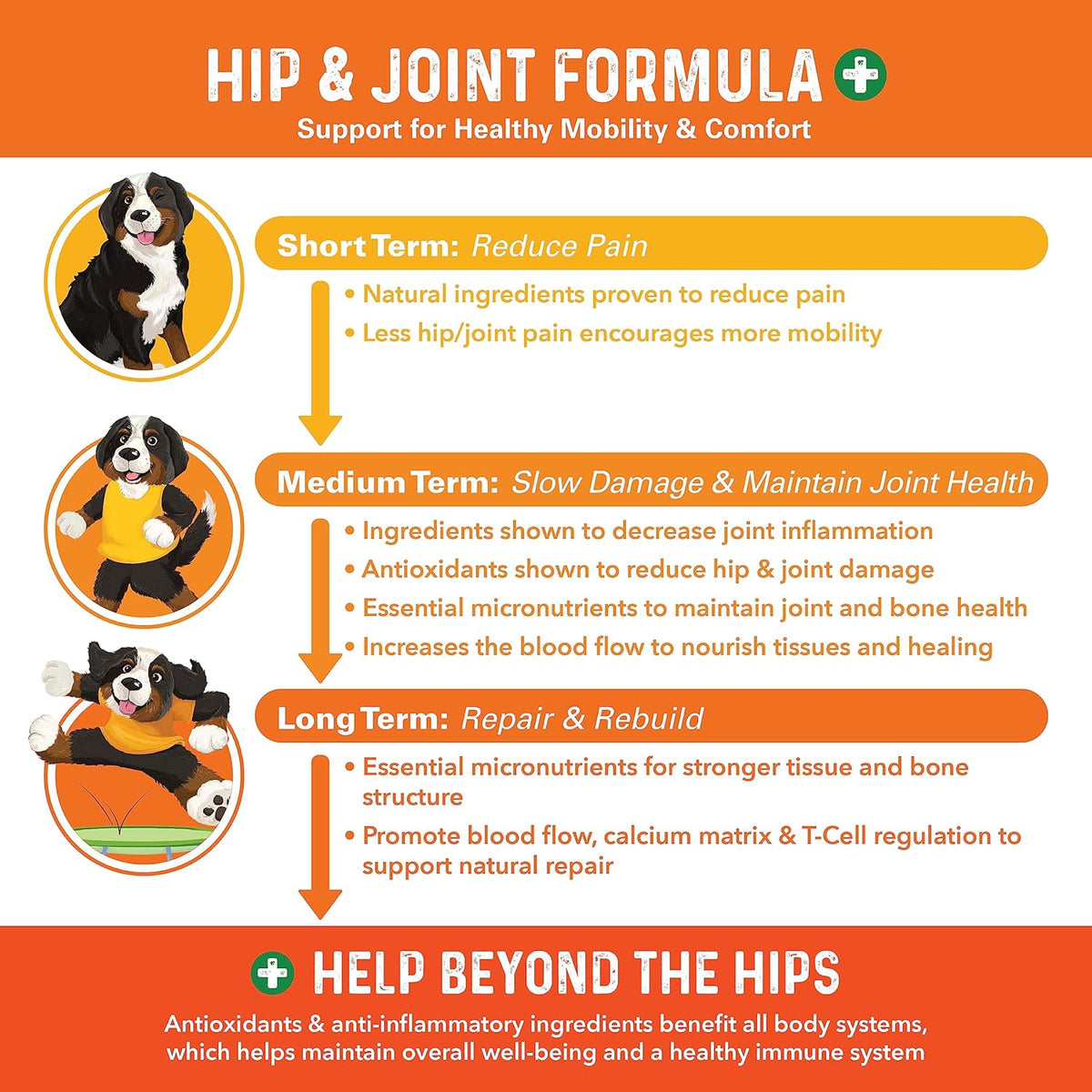 Bernie's Healthy Hips pork flavored joint health supplement jar side label