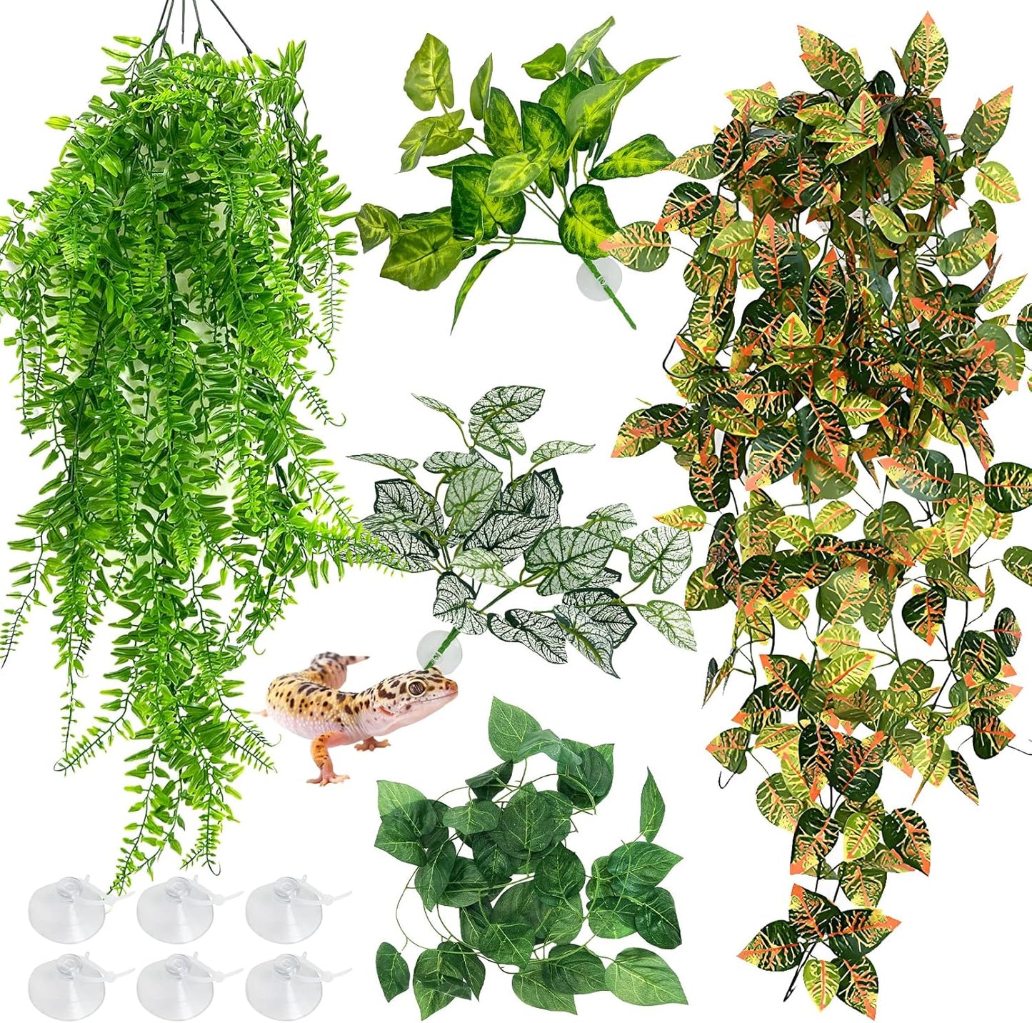 Hamiledyi 5 piece reptile terrarium hanging plants front view
