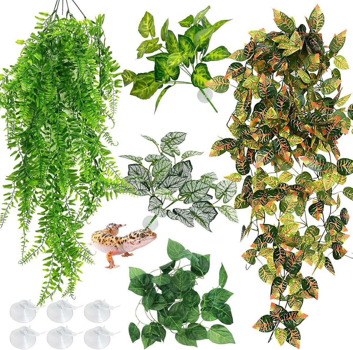 Hamiledyi 5 piece reptile terrarium hanging plants front view