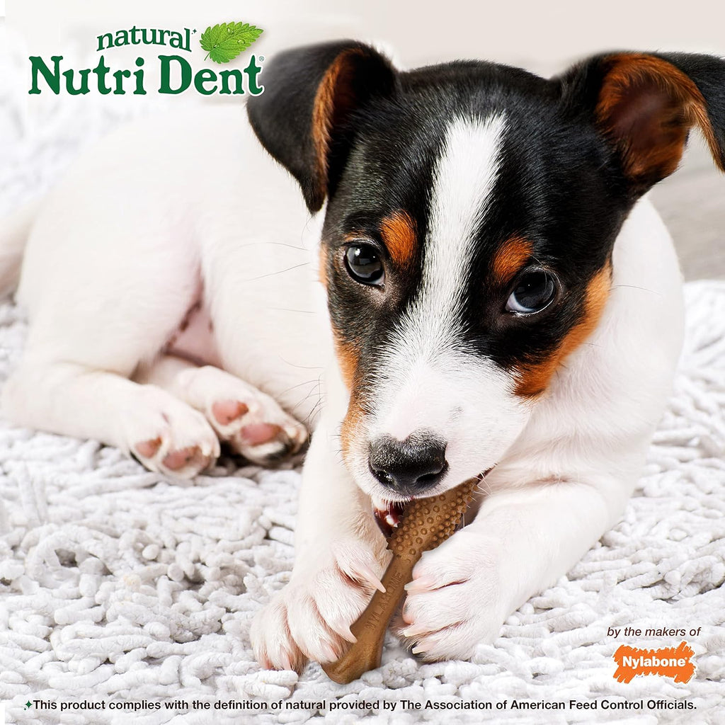 American made highly digestible small dog dental sticks close up view