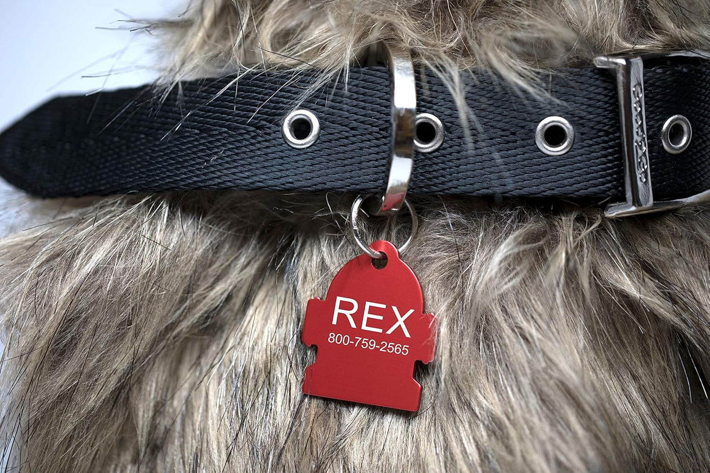 Providence Engraving personalized cat identification tag in small size blue round shape