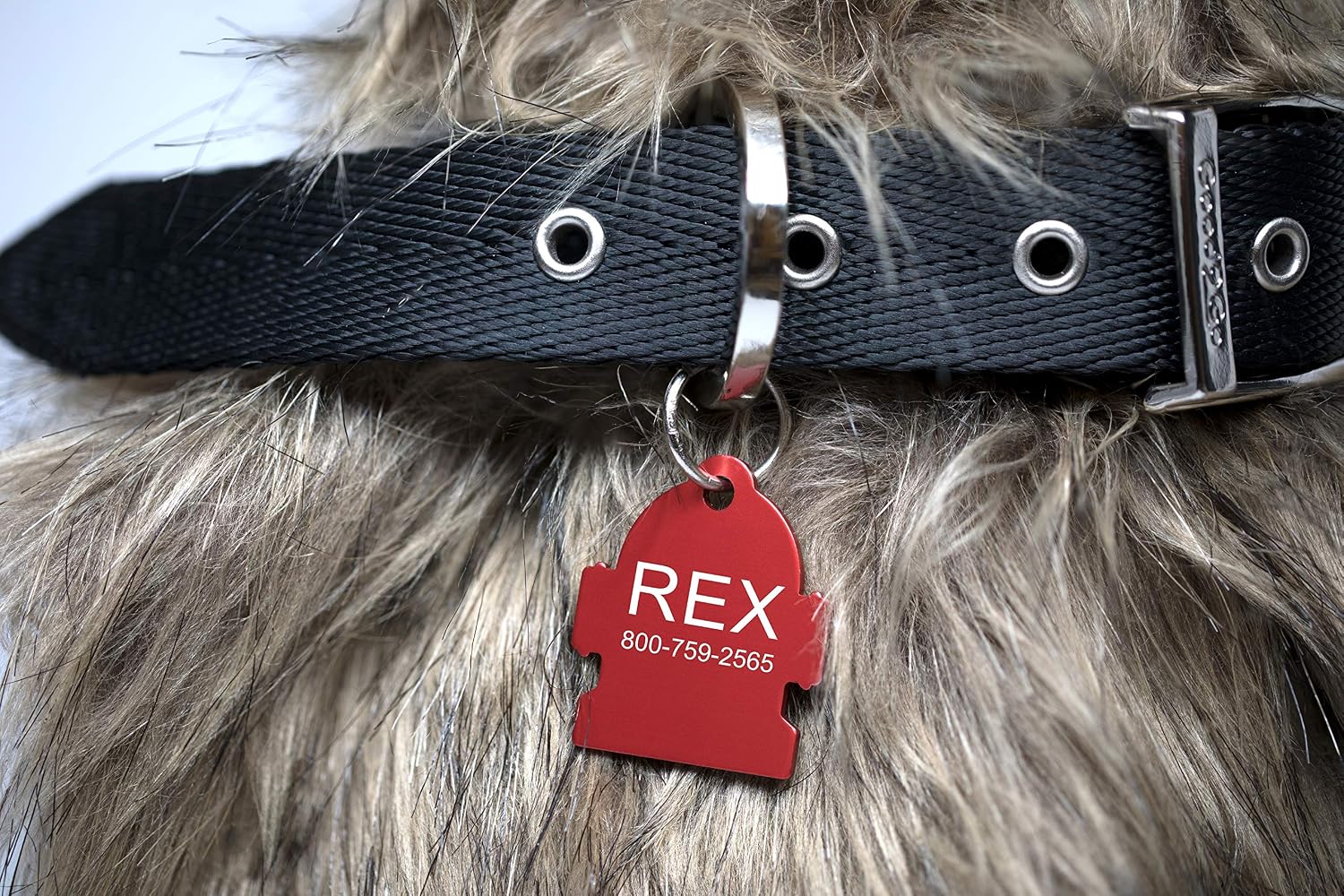 Providence Engraving personalized cat identification tag in small size blue round shape
