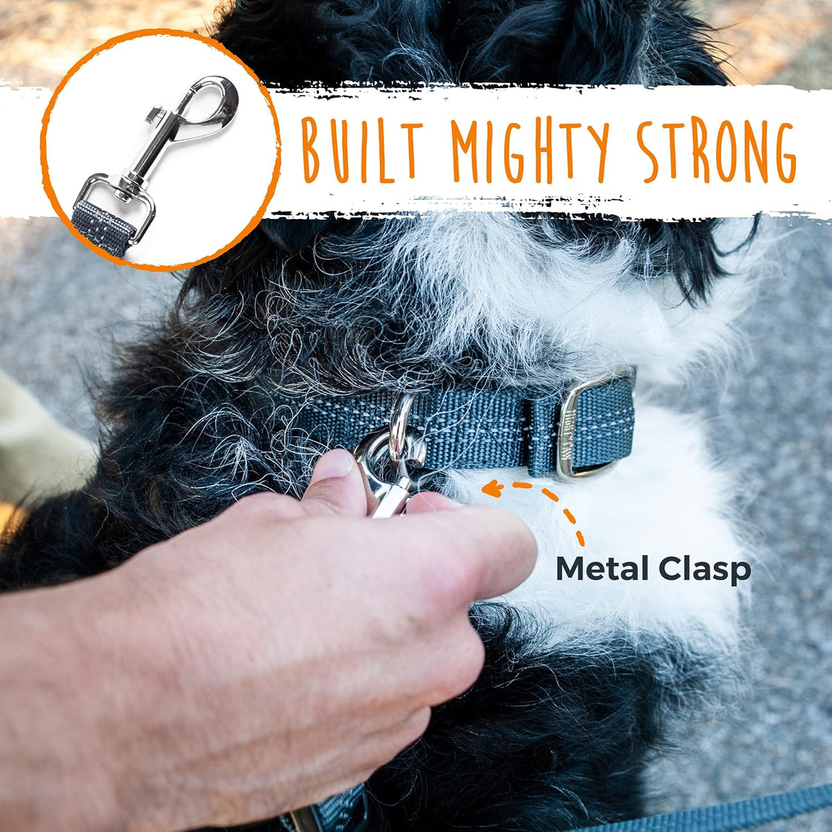 Mighty Paw two dog leash splitter attached to pet harness clips.