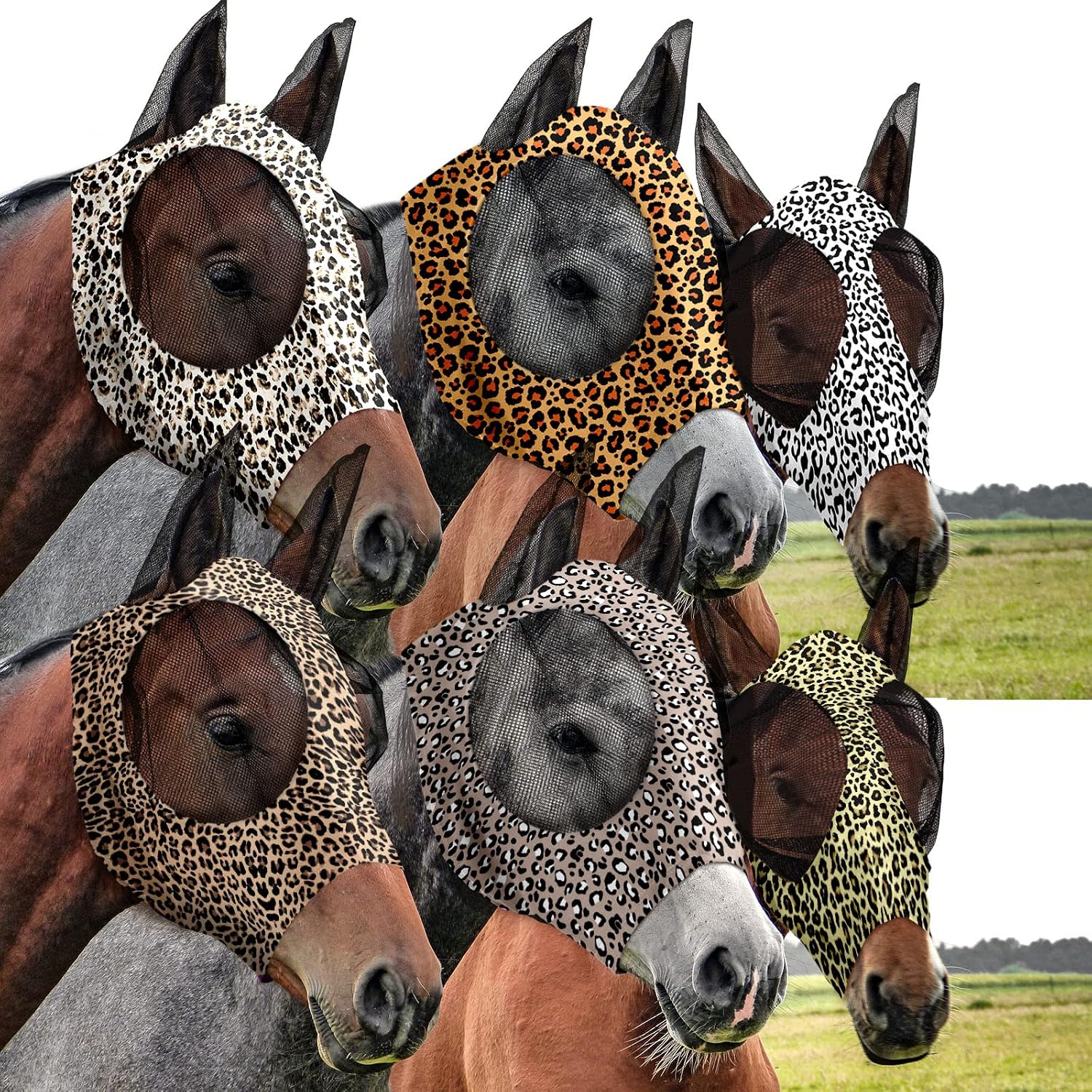 Horse wearing protective fly mask during outdoor riding