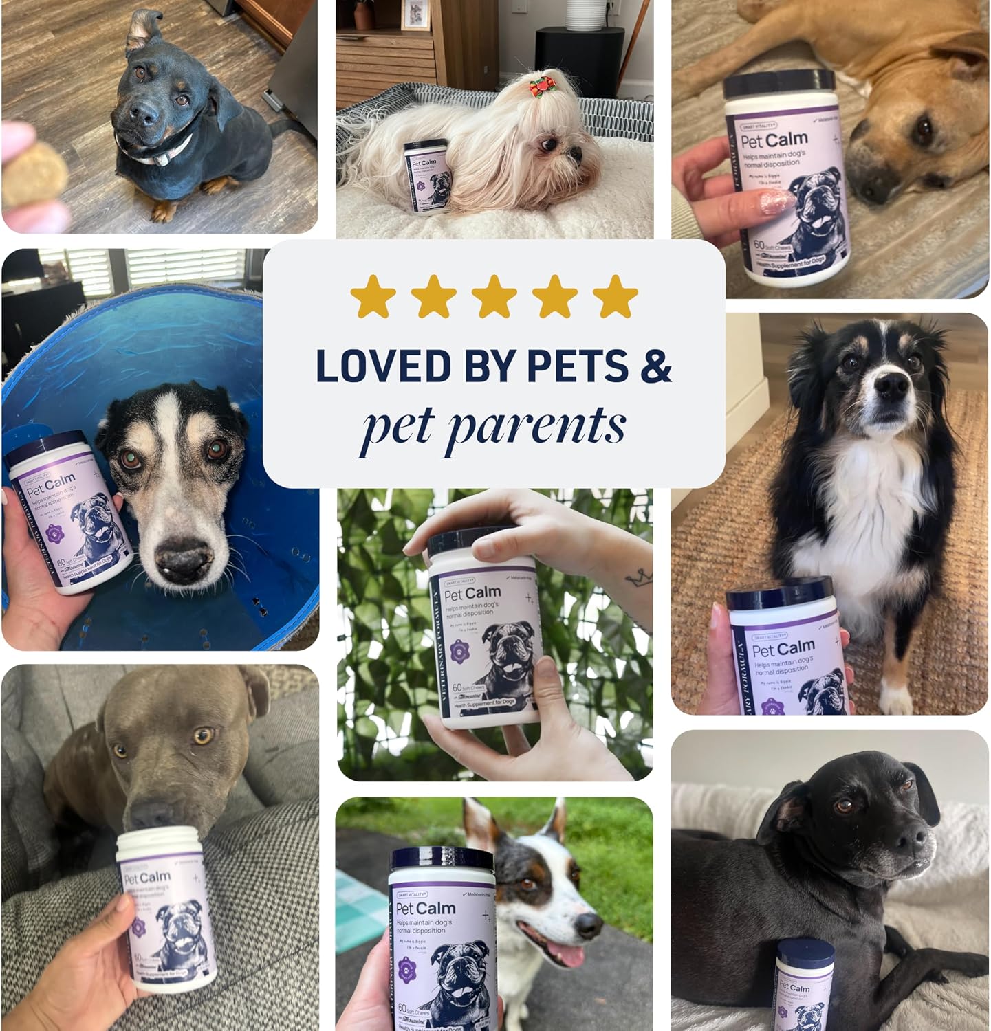 Veterinary Formula Pet Calm premium behavioral support for puppies