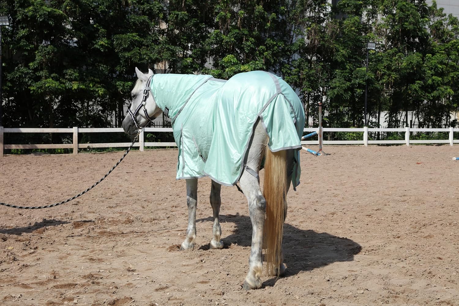 Removable hind leg straps and extra tail flap design on equine blanket