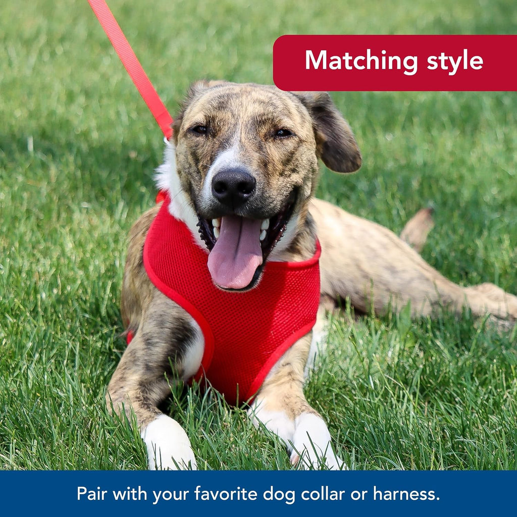 Coastal Pet leash handle loop and stitching