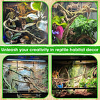 Adhesive mounting accessories included with the Duspro terrarium vine