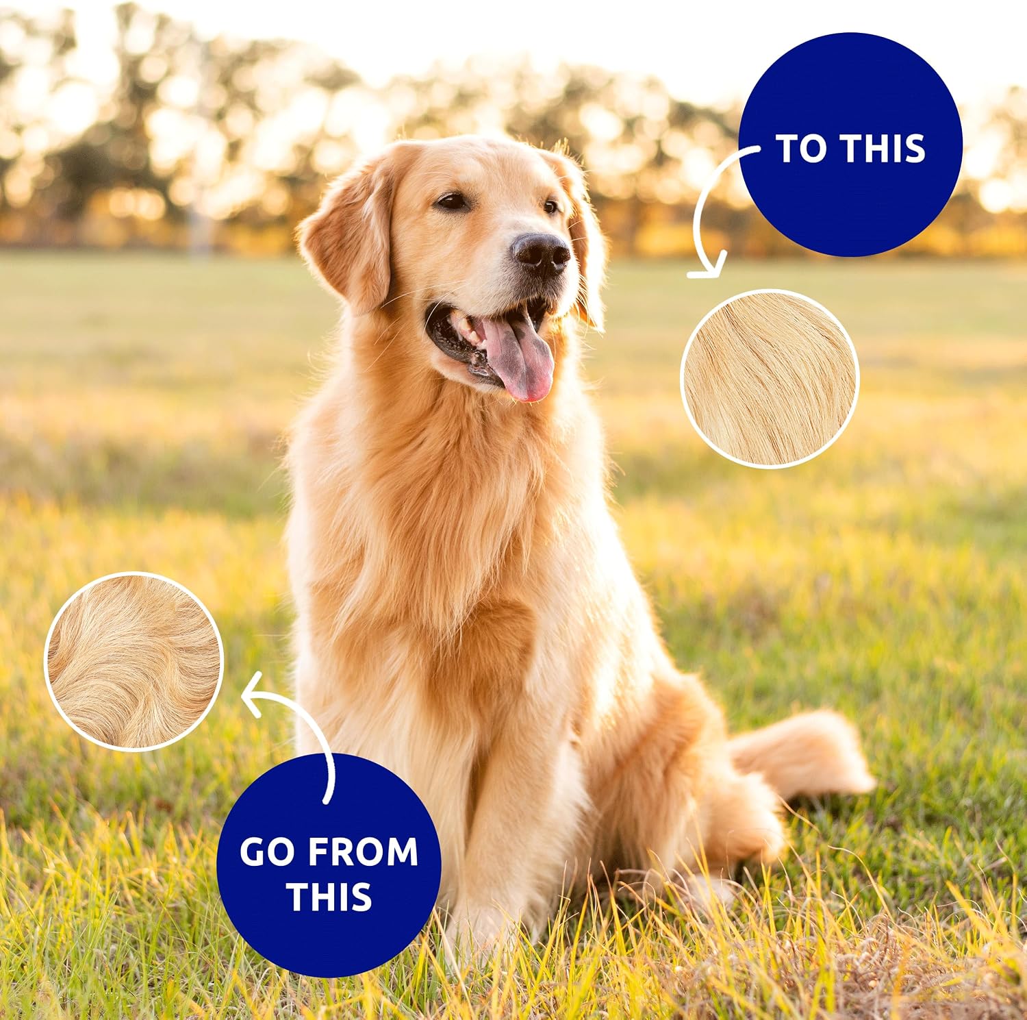 Pat Your Pet Deshedding Dog Brush For Shedding - Cat Brushes For Indoor Cats, Double-Sided Cat Brush Deshedding & Grooming Tool For Long Haired And Short Haired Dogs, Skin-Friendly - Image 9