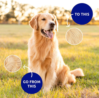 Pat Your Pet Deshedding Dog Brush For Shedding - Cat Brushes For Indoor Cats, Double-Sided Cat Brush Deshedding & Grooming Tool For Long Haired And Short Haired Dogs, Skin-Friendly - Image 9
