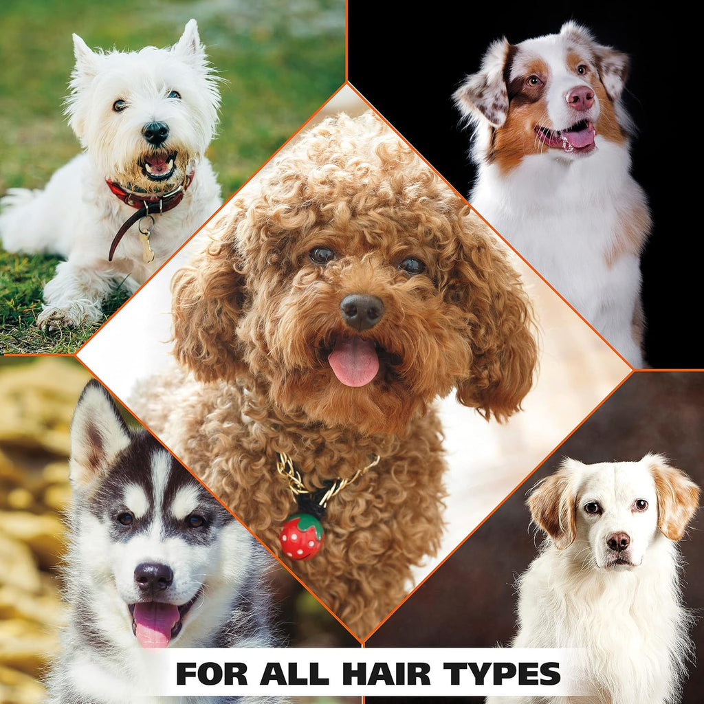 Wahl USA Flea & Tick Repelling Dog Shampoo - Defense Formula with Rosemary & Cedar Scent - 24 Oz - 820007T - Image 9