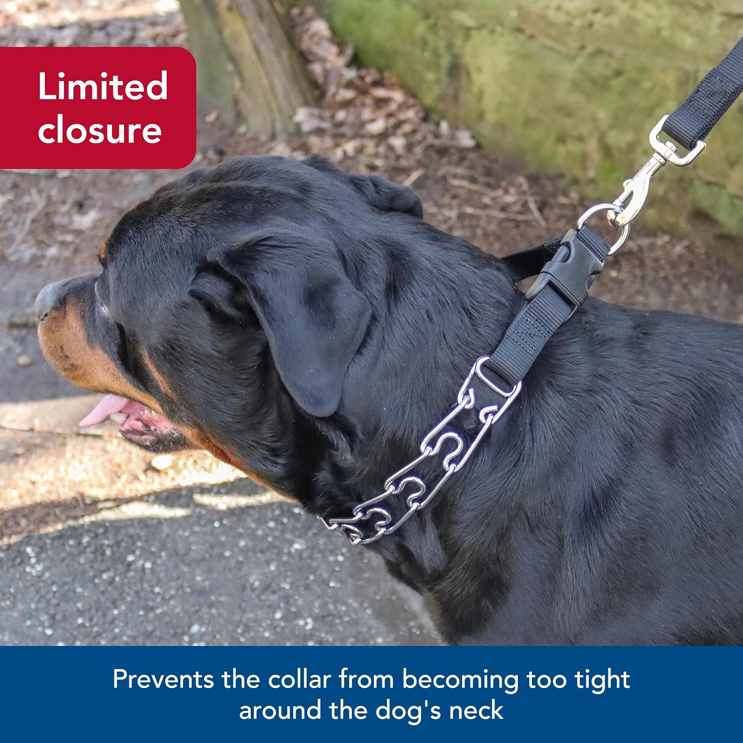 Black nylon loop and buckle mechanism on Coastal Pet training collar