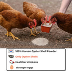KorGourmetta oyster shell flour back label ingredient details