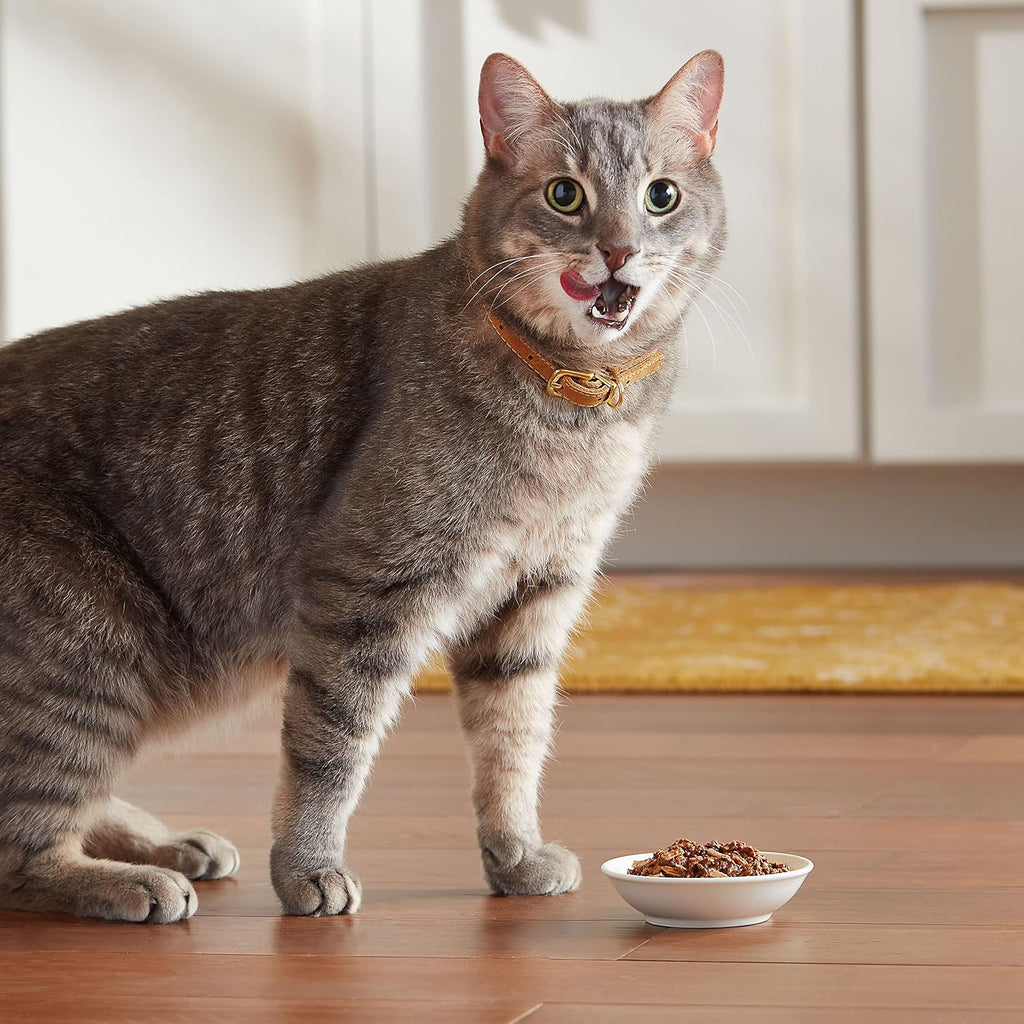 Meow Mix wet cat food tender morsels in gravy