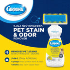 Carbona carpet spot cleaner active foam applicator head close up view