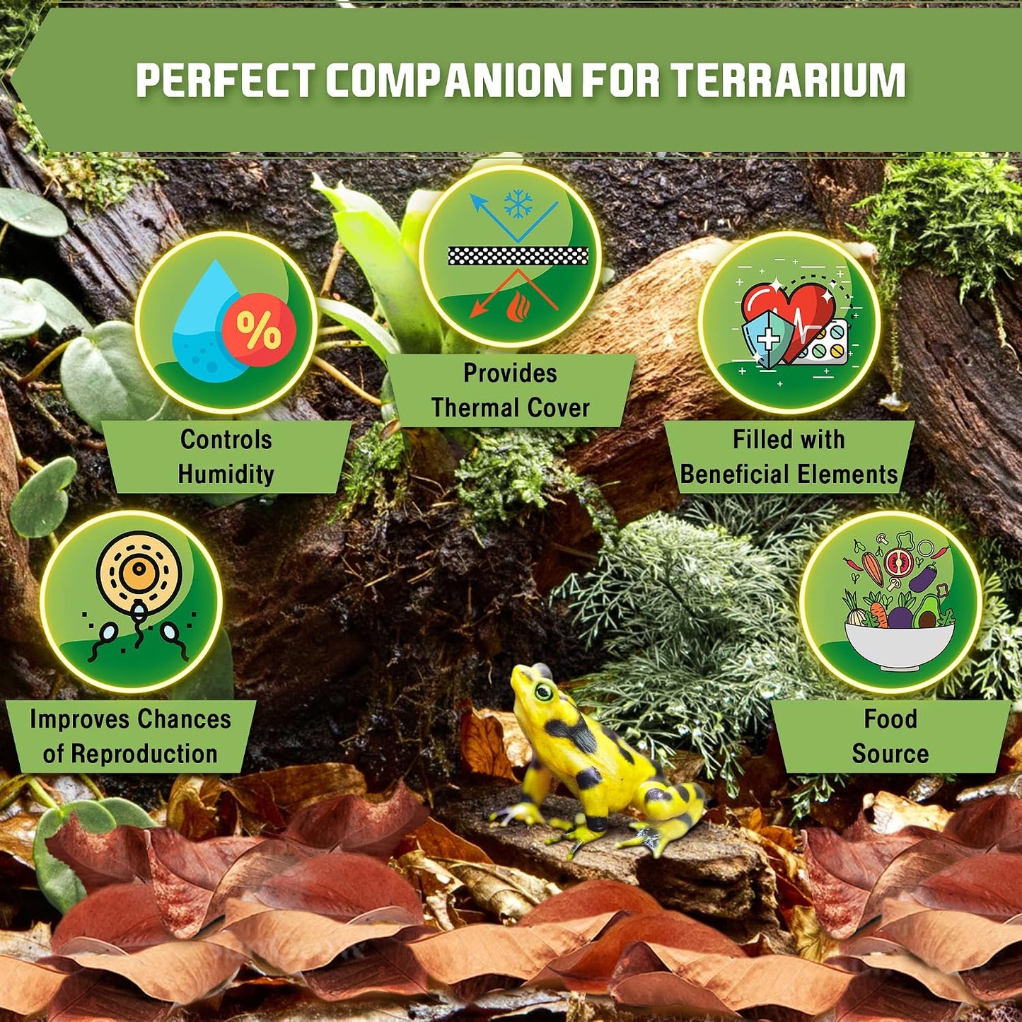 SunGrow leaf litter spread across a terrarium substrate