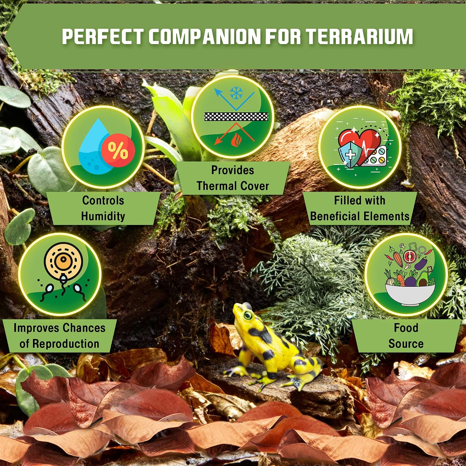 SunGrow leaf litter spread across a terrarium substrate