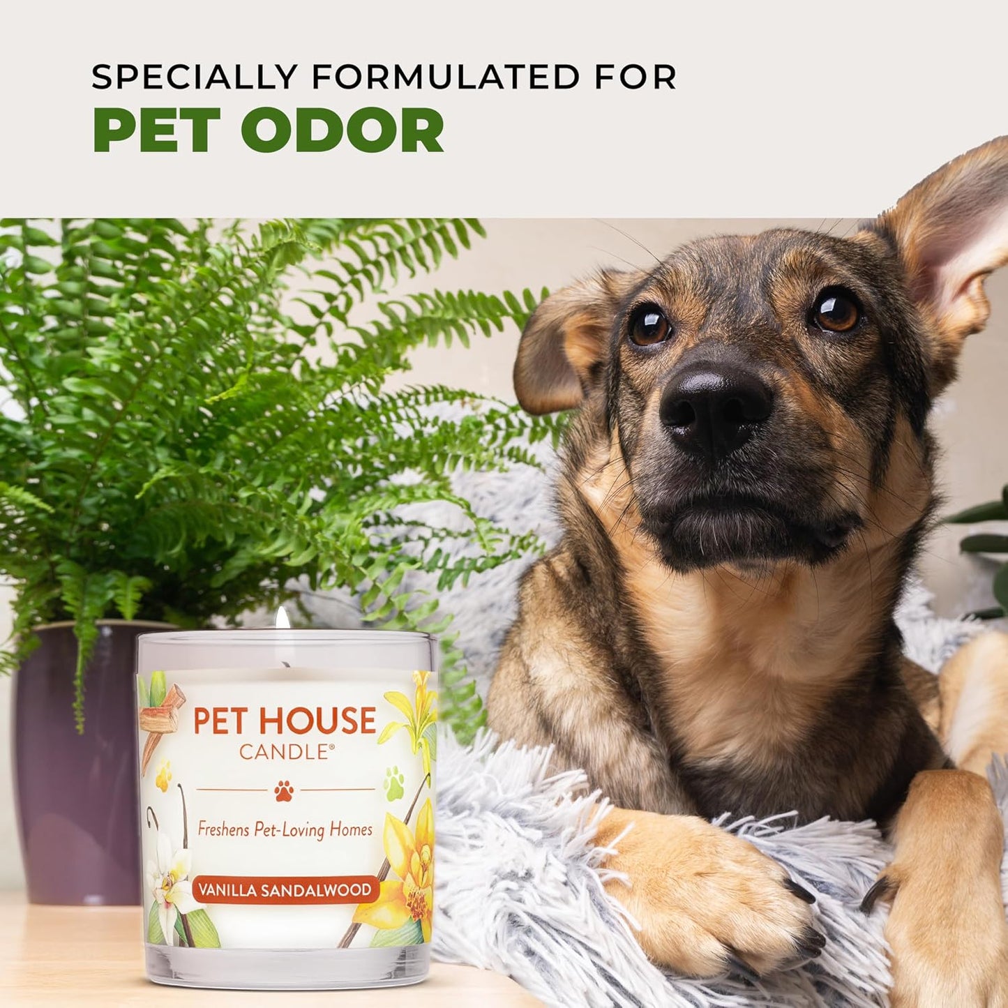 One Fur All natural pet odor eliminator candle top down view inside glass jar.