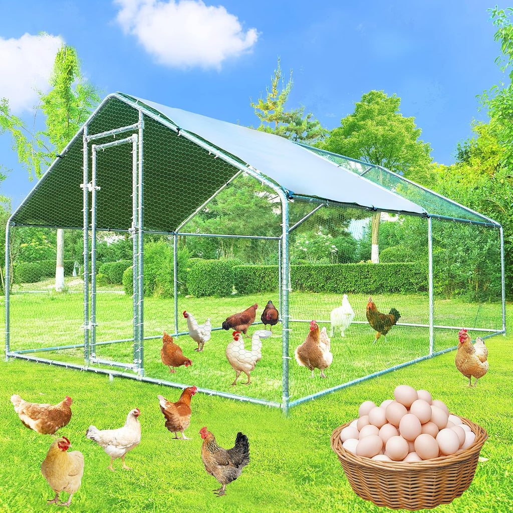 HEASON large metal chicken coop front view with outdoor run