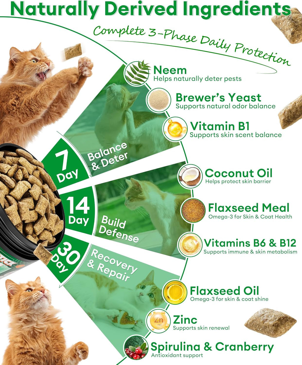Natural skin and coat support chews for cats