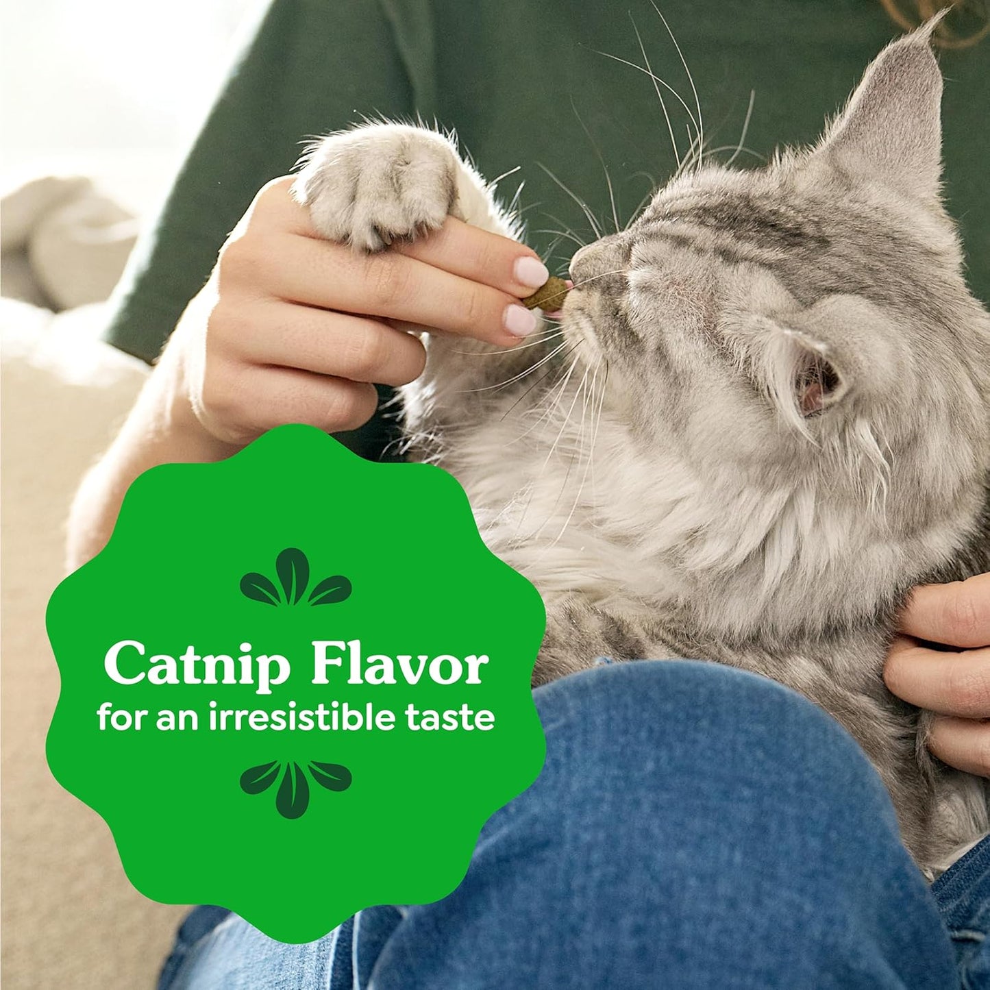 Greenies Cat Treats, Feline Veterinarian-Recommended Adult Natural Dental Treats, Catnip Flavor, 9.75 oz. Tub - Image 9
