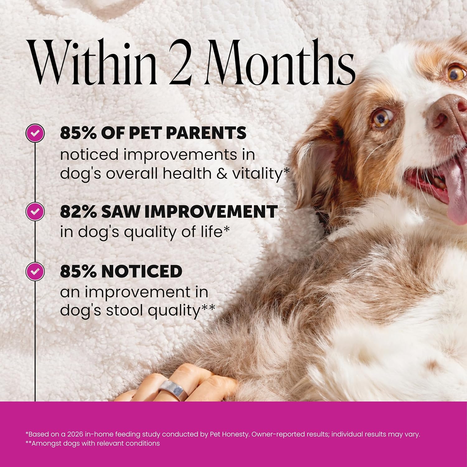 Pet Honesty multivitamin supplement label details