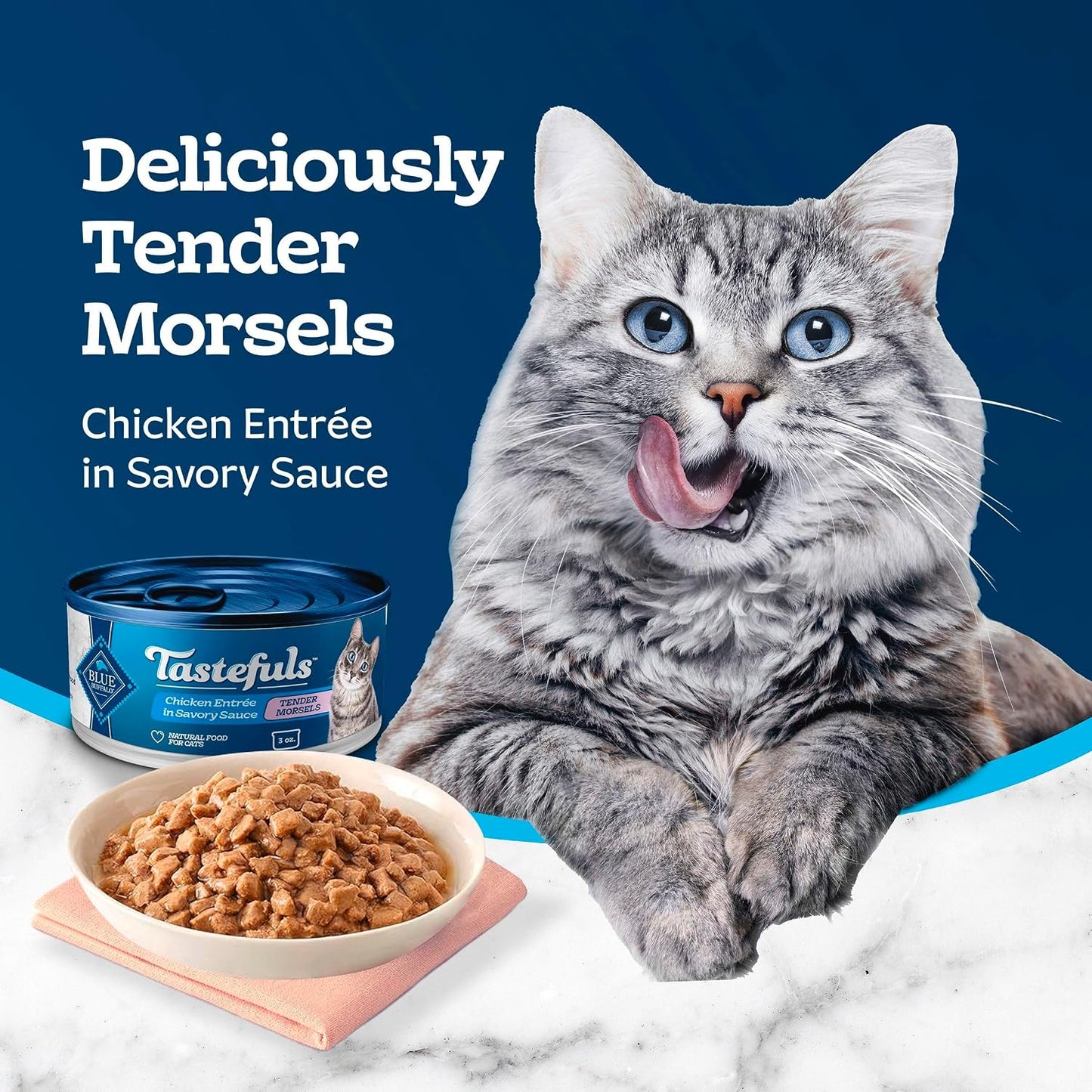 Natural chicken entree wet cat food in gravy for adult cats