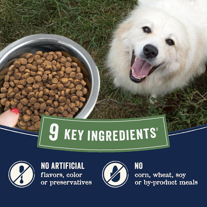 Canidae wholesome grains farm to bowl salmon recipe dog food ingredient list view