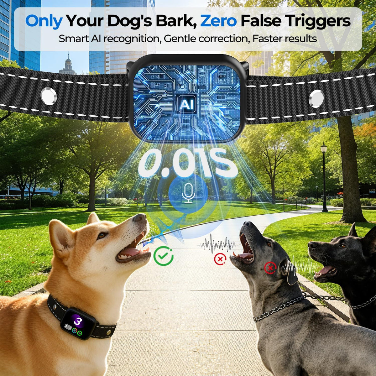RPZ rechargeable dog collar with digital display