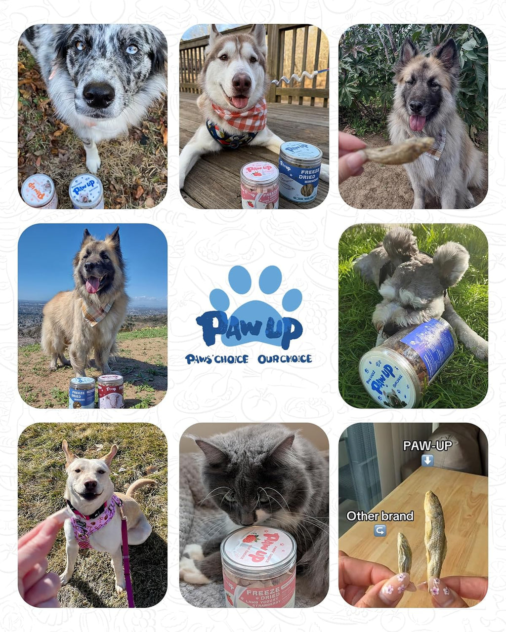 Authentic USA imported pet treats by Rudra Retails