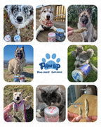 Authentic USA imported pet treats by Rudra Retails