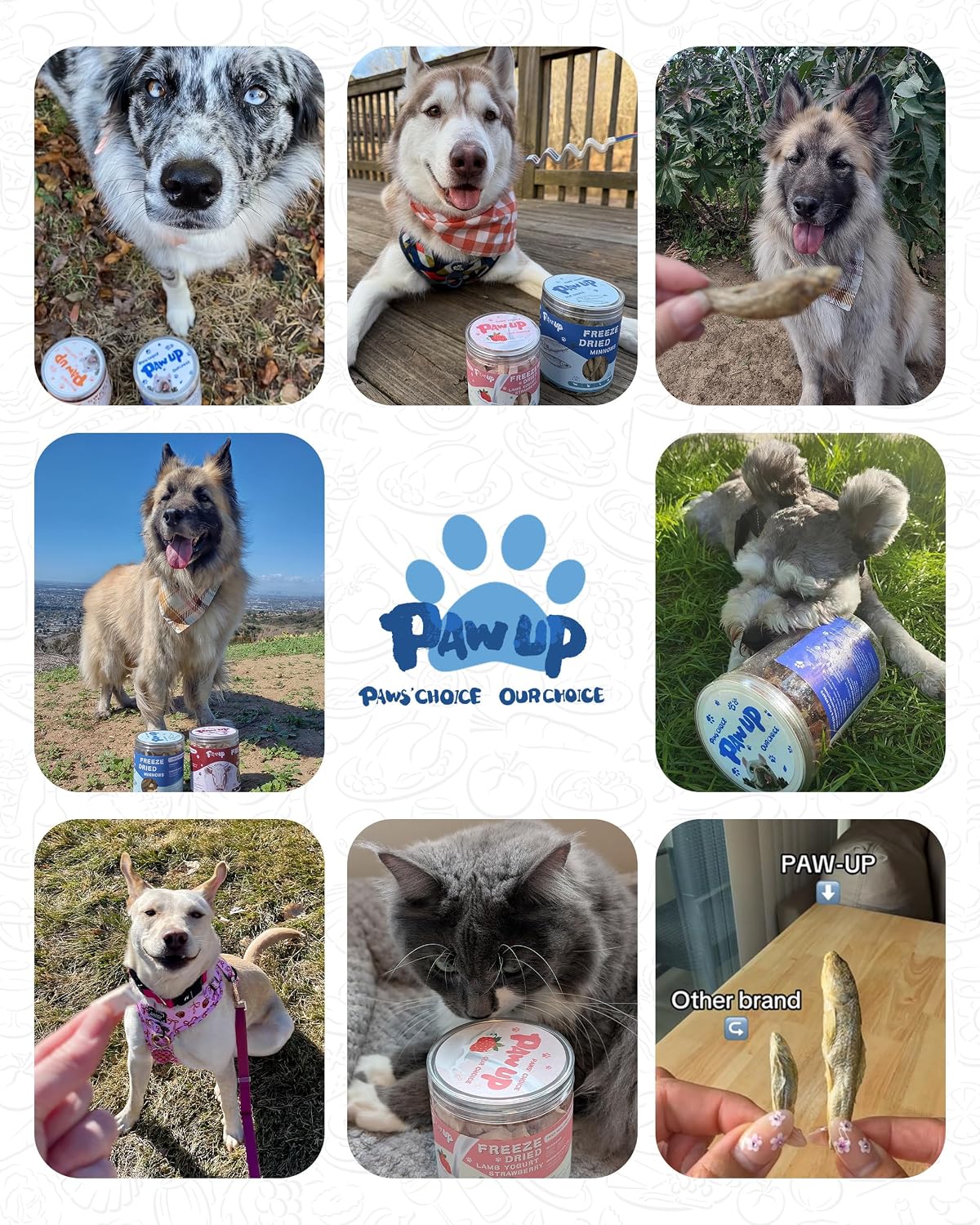 Authentic USA imported pet treats by Rudra Retails