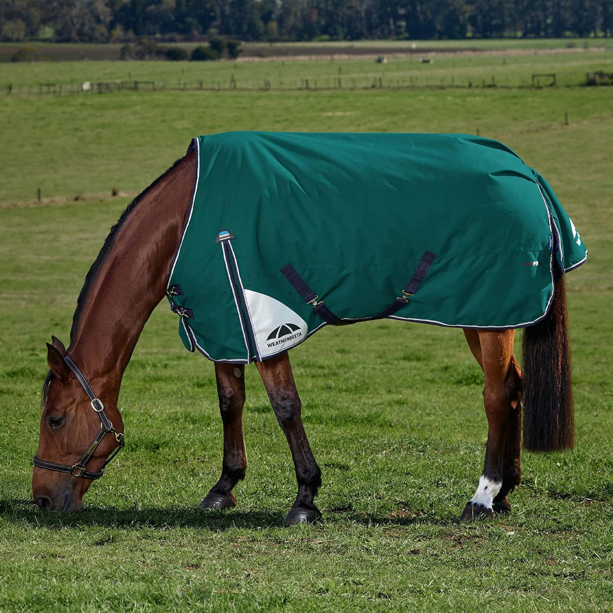 WeatherBeeta twelve hundred denier ripstop equestrian turnout blanket back view showcasing the full wrap tail flap.
