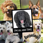 Bugalugs 4 in 1 conditioning pet shampoo for anxious dogs back view