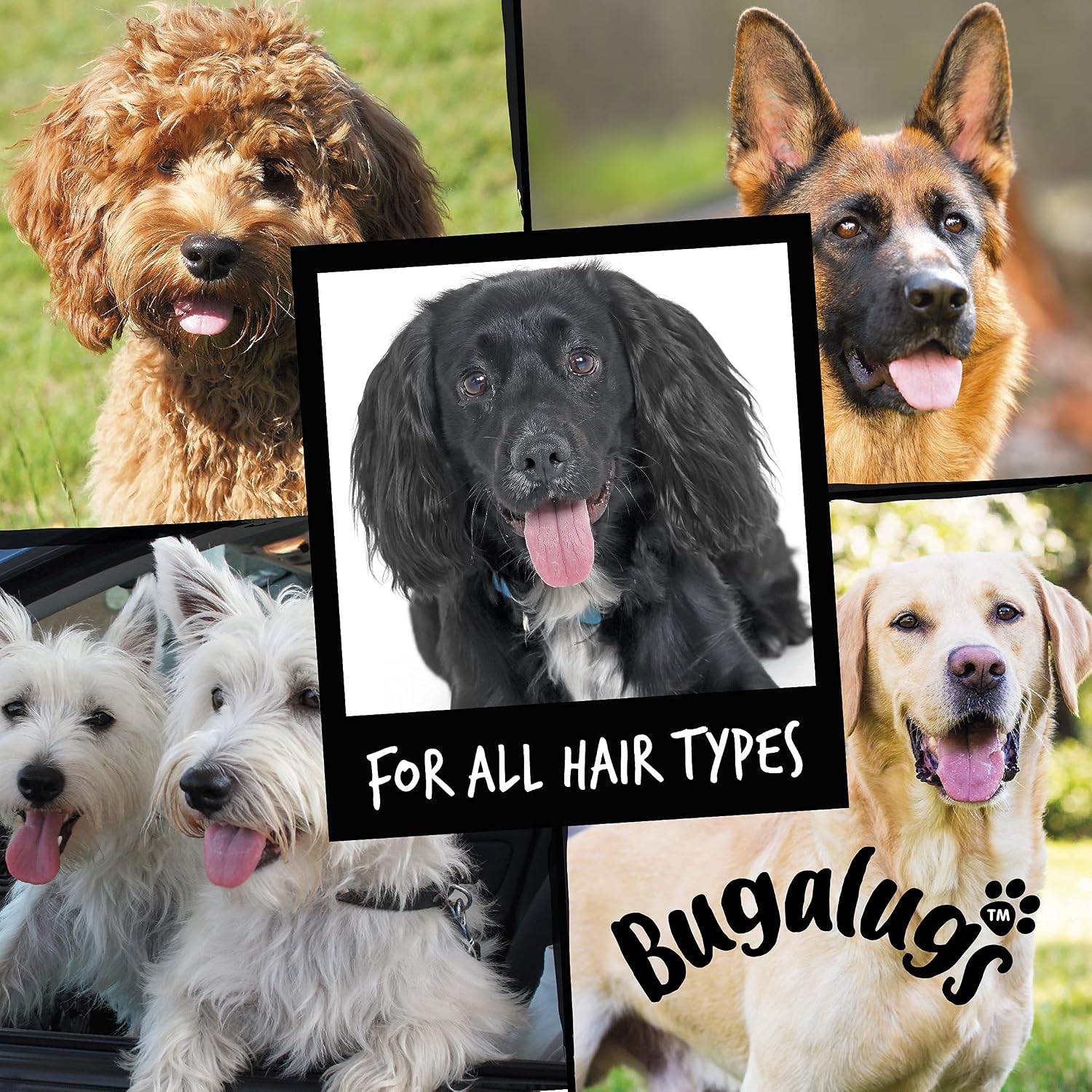 Bugalugs 4 in 1 conditioning pet shampoo for anxious dogs back view