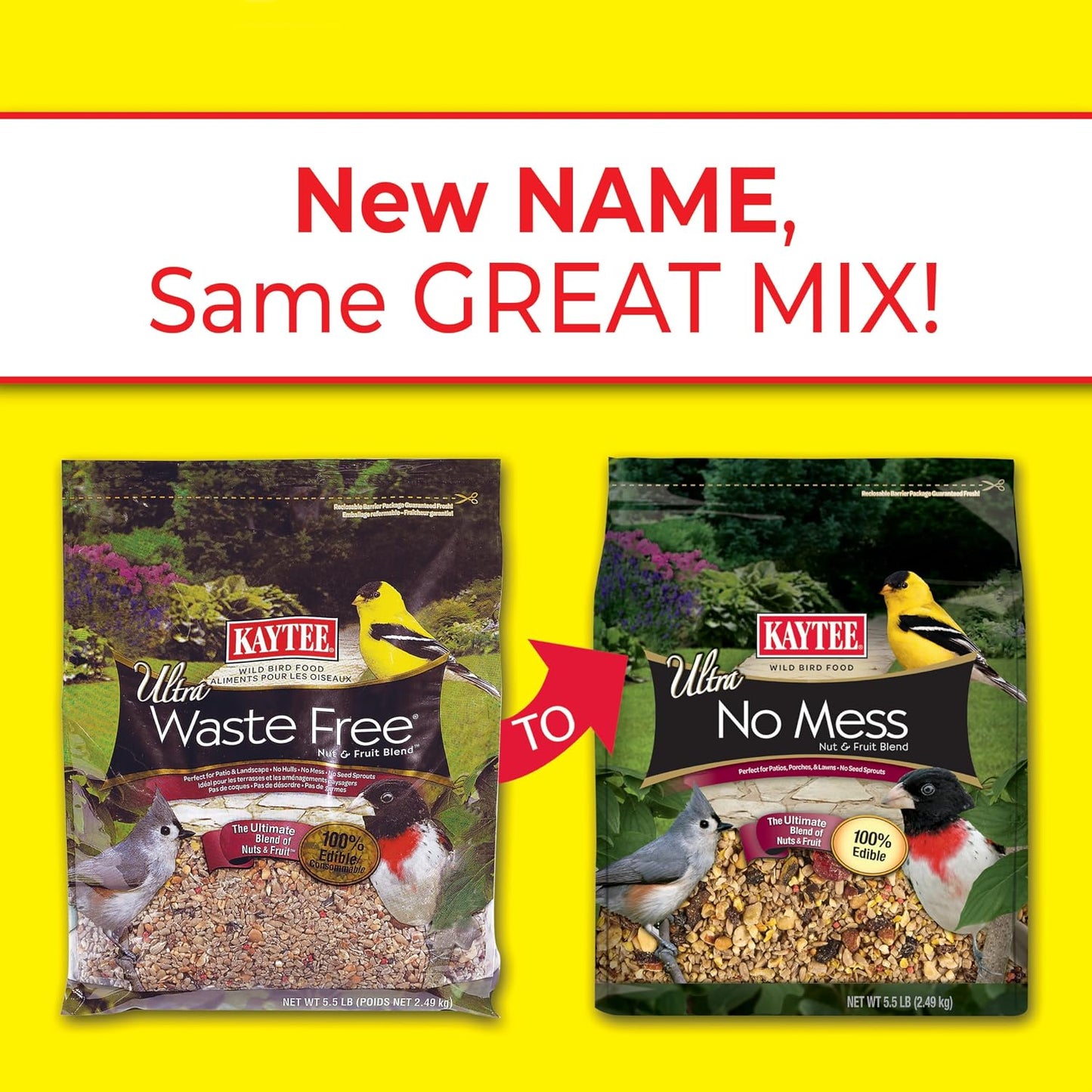 Close up of hulled sunflower seeds and dried fruit in Kaytee bird mix