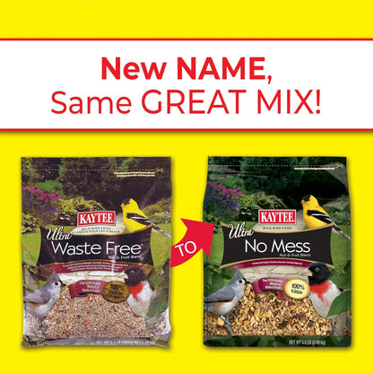 Close up of hulled sunflower seeds and dried fruit in Kaytee bird mix