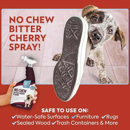Close up of Out! PetCare dog behavior correction spray label
