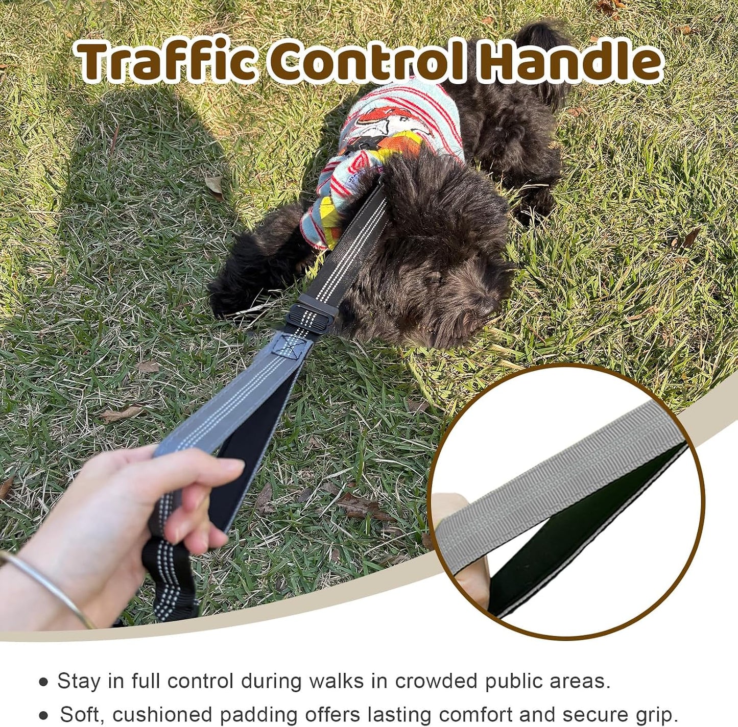 LEOSASA two dog coupler highlighting adjustable buckle straps