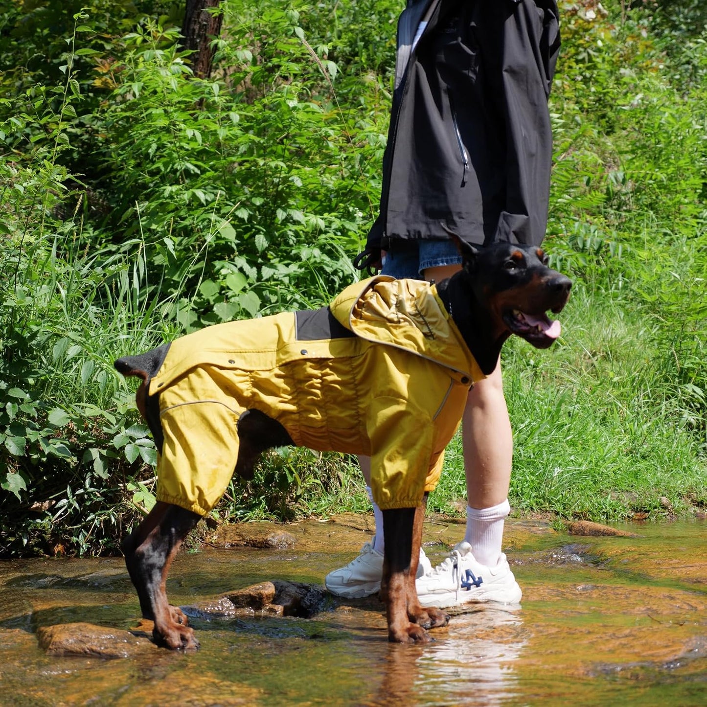 Lovelonglong outdoor full body dog raincoat belly snap fasteners view