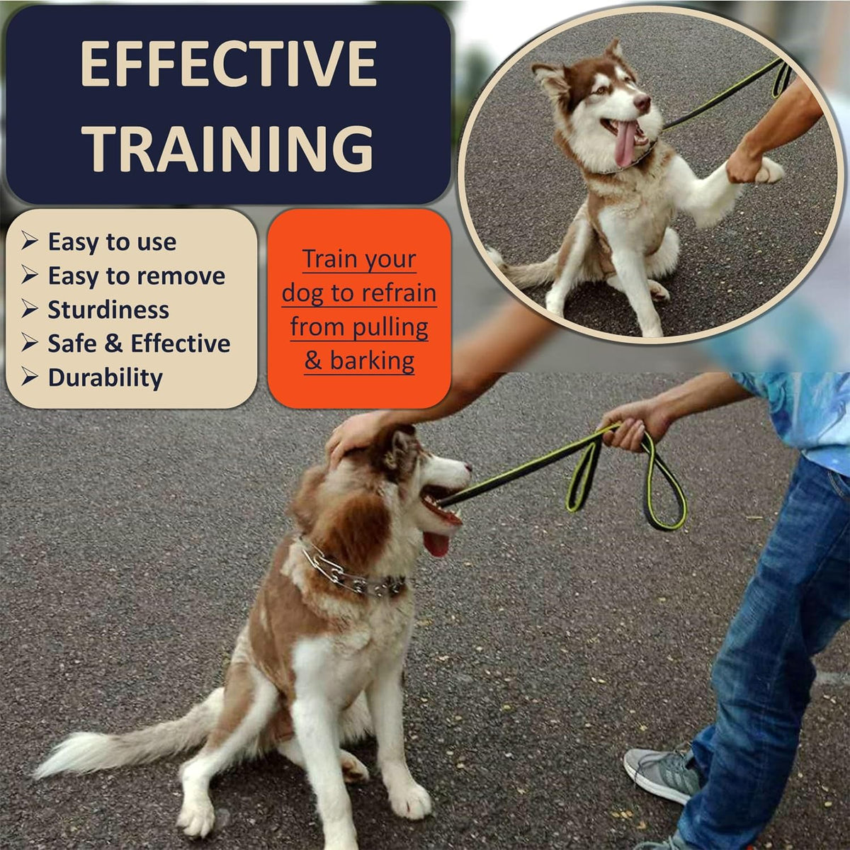 DEYACE stainless steel prong collar adjustable links premium dog training accessory