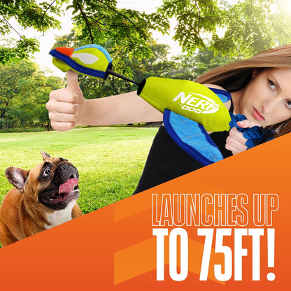 Green and light blue Nerf Dog fetch toy close up of wings