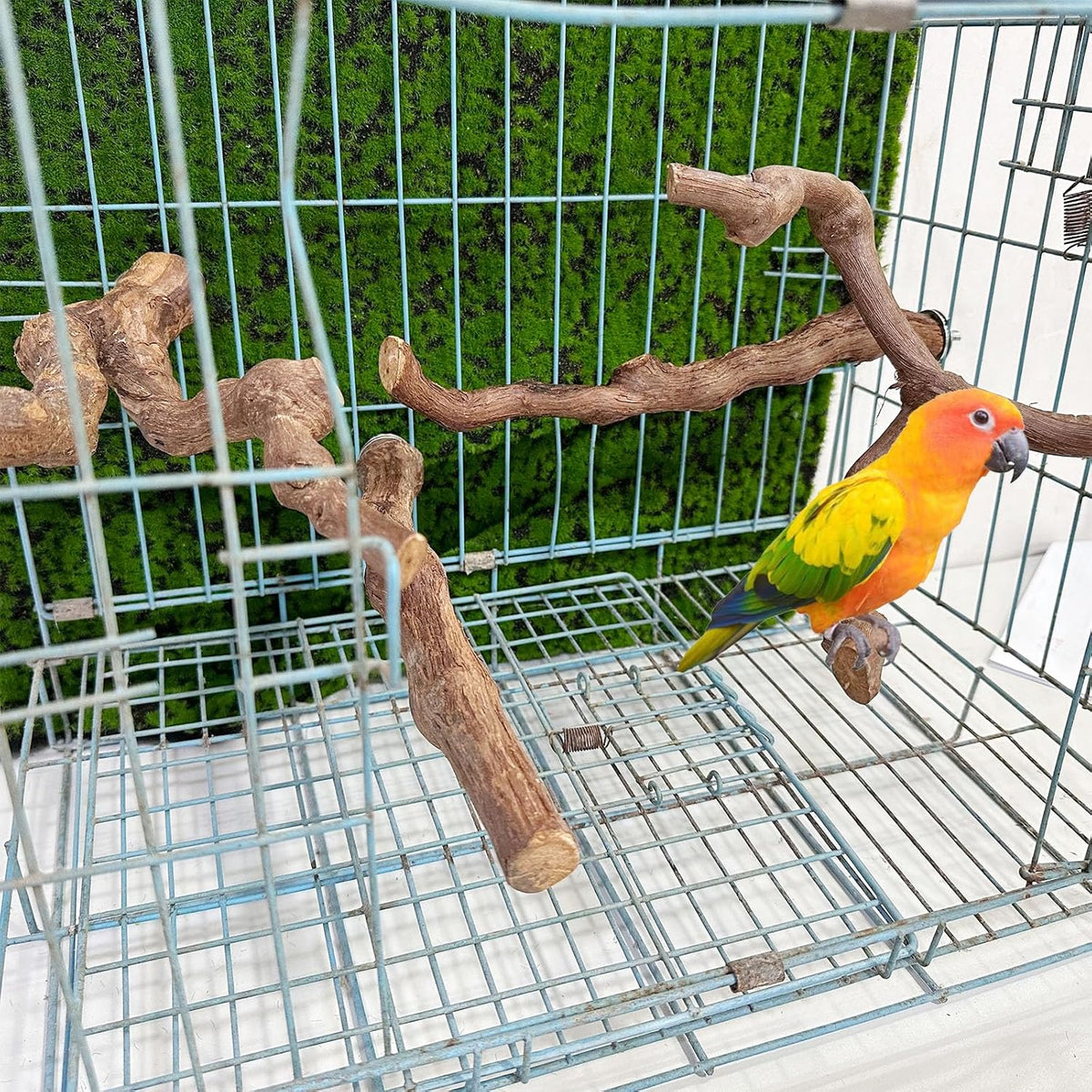 4PCS Bird Perch Natural Grape Stick Bird Standing Stick Grapevine - Image 3
